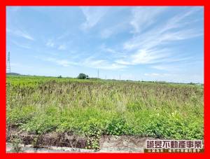 誠昱/鹽水區竹埔國小3.