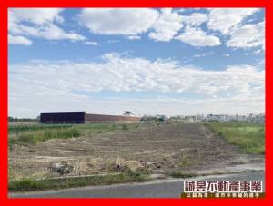 誠昱/台江大道旁前後路.