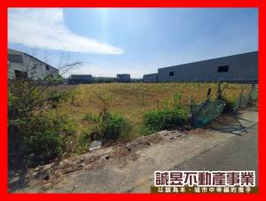 誠昱/保吉路面大面寬黃.