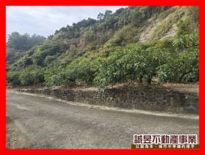 誠昱/玉井資材室夜景農.