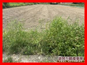 誠昱/王行路2.7分都內.