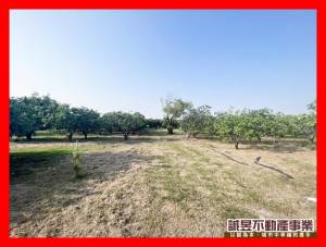 誠昱/麻豆北勢寮都內農地