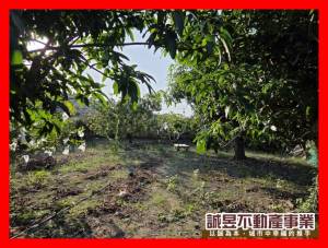 誠昱/安定南興國小旁37.