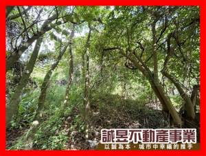 誠昱/近86快速道路都內.