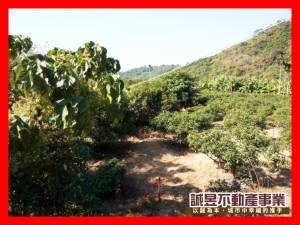 誠昱/南化竹頭崎丙種建地